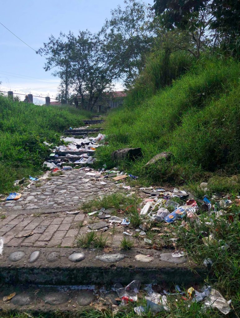 JORNADA DE RECUPERACIÓN Y EMBELLECIMIENTO EN LA AVENIDA DEL ESTUDIANTE