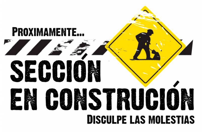 Obras Desarrolladas