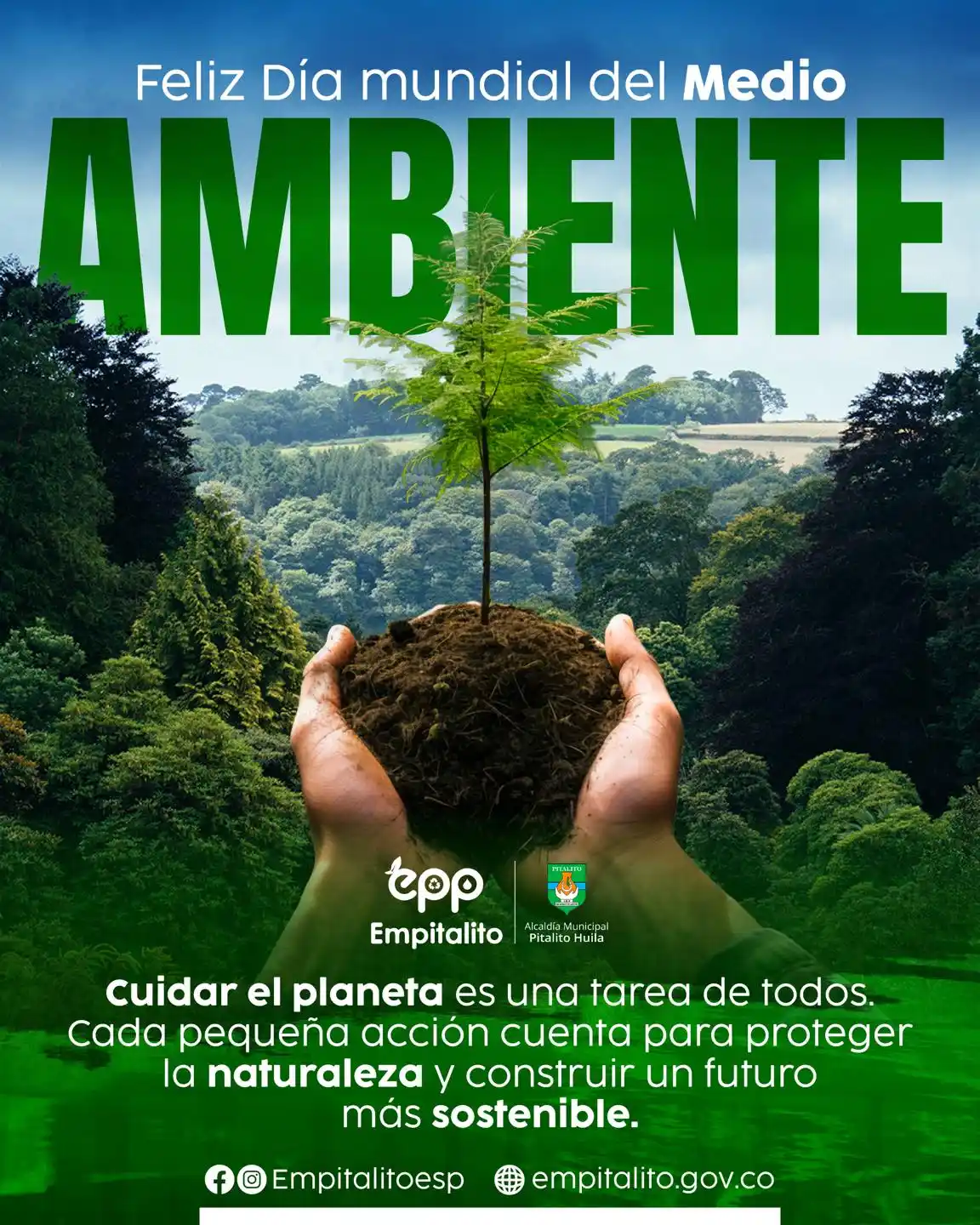 Hoy celebramos el Día Mundial del Medio Ambiente