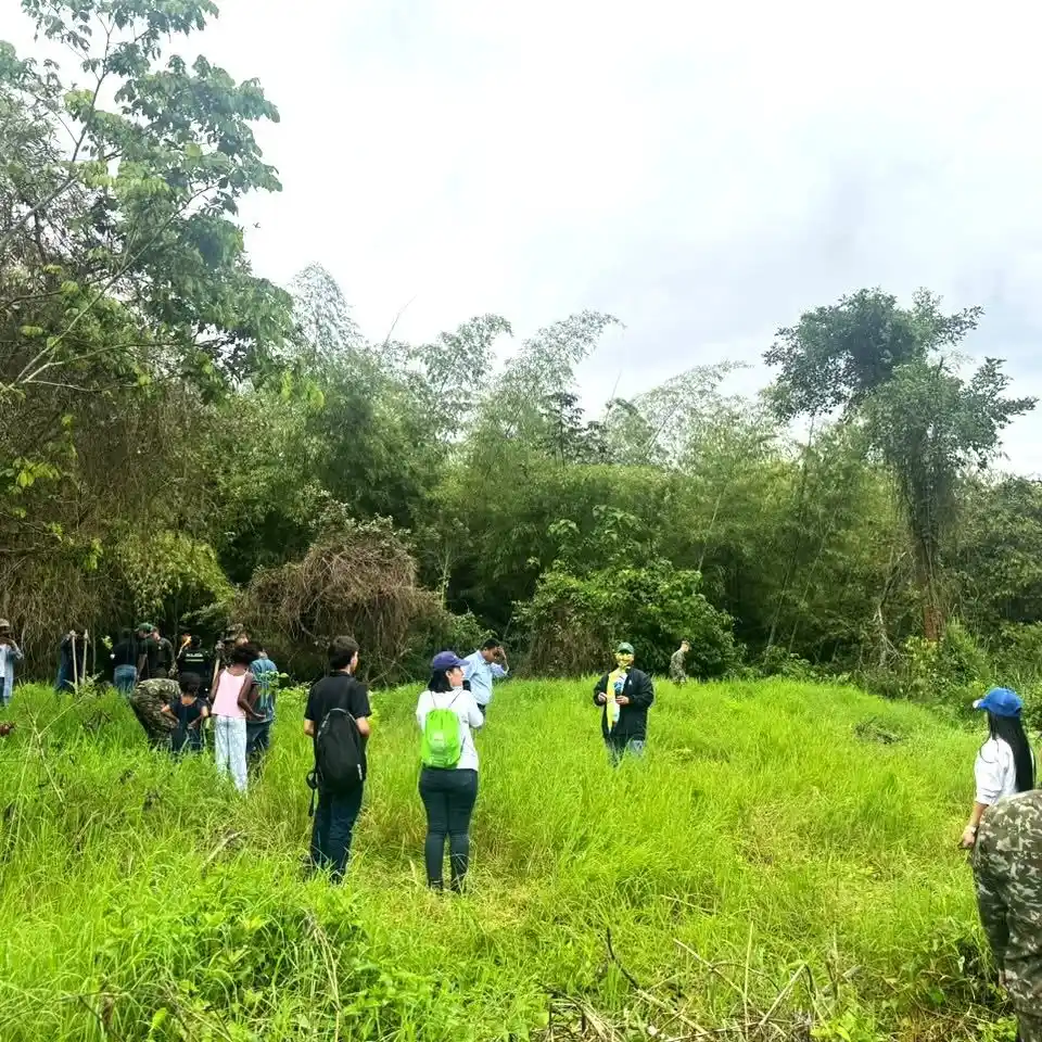 dia mundial del medio ambiente