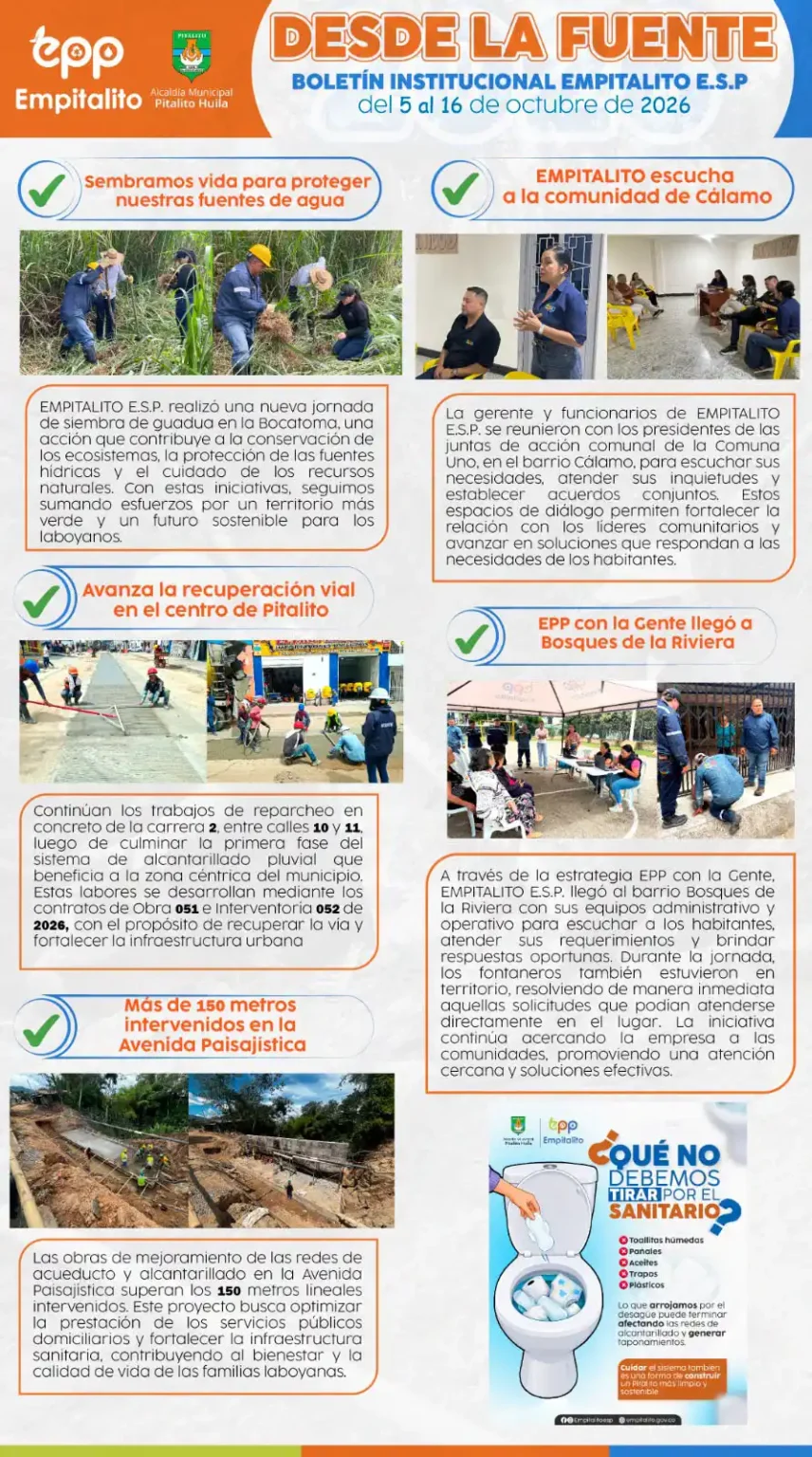 Boletín 15 "Desde la Fuente"