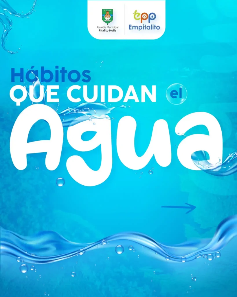 Cuidar el agua empieza con pequeños hábitos