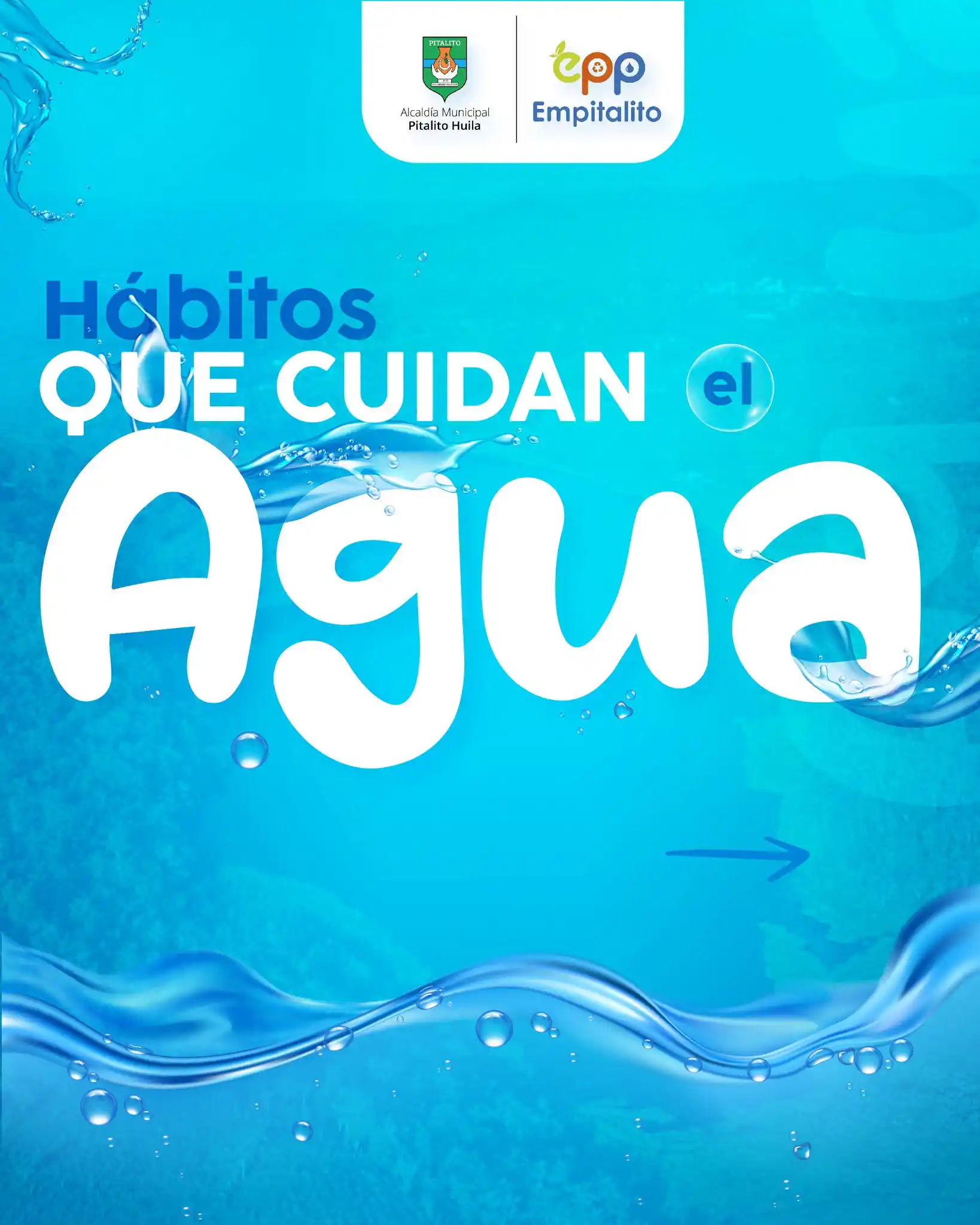 Cuidar el agua empieza con pequeños hábitos