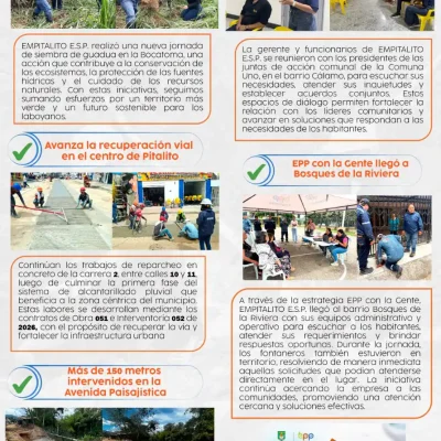 Boletín 15 "Desde la Fuente"