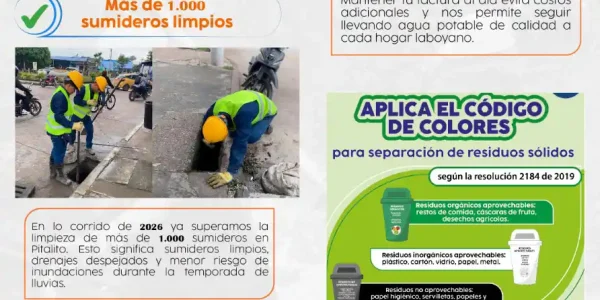 Boletín No 6 – "Desde la Fuente"