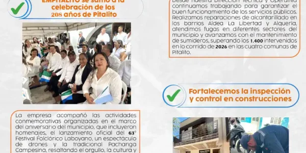 Boletín No 7 – "Desde la Fuente"