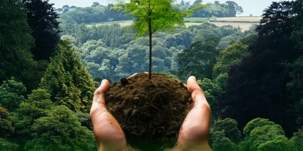 Hoy celebramos el Día Mundial del Medio Ambiente